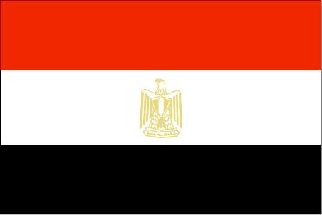 埃及個(gè)人旅游簽證